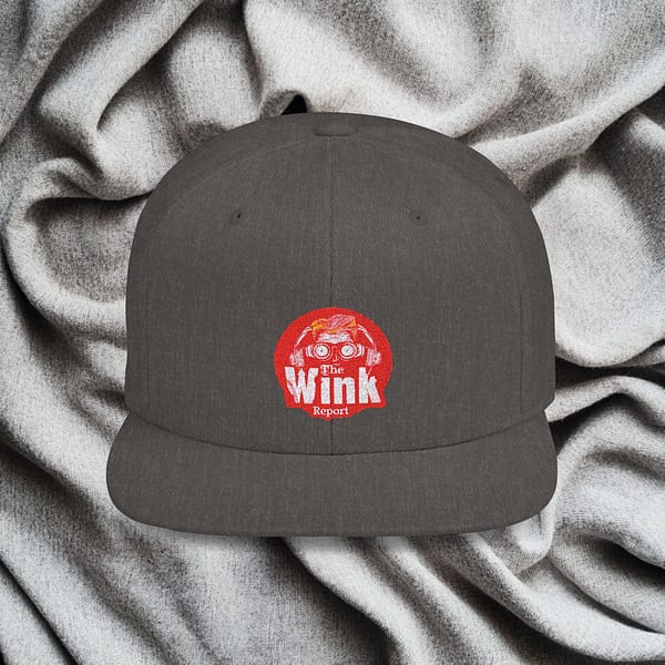 Flat Bill Snapback - The Wink Report Logo - Image 4