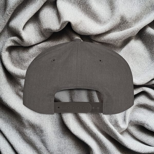 Flat Bill Snapback - The Wink Report Logo - Image 5