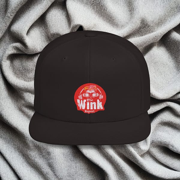 Flat Bill Snapback - The Wink Report Logo - Image 10