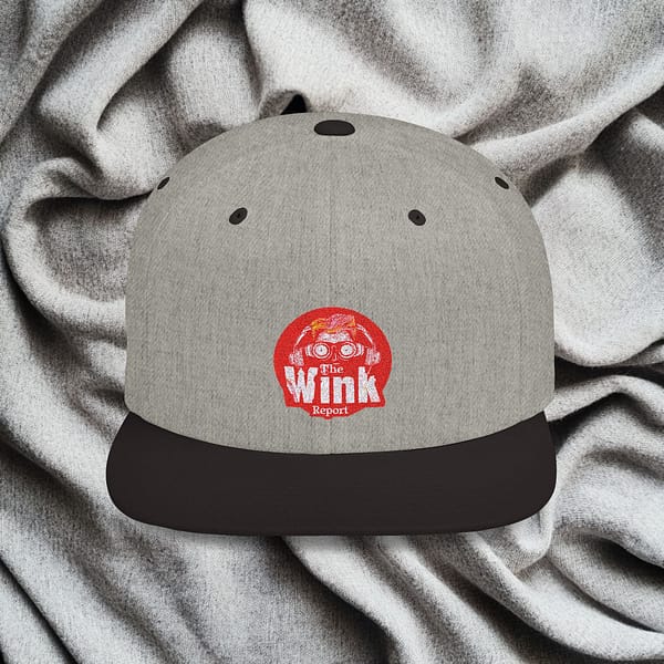 Flat Bill Snapback - The Wink Report Logo - Image 13